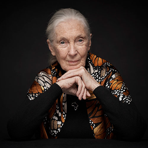 Dr. Jane Goodall, portrait by Vincent Calmel